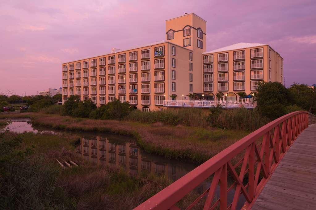 Coconut Malorie Resort Hotel, Ascend Hotel Collection Ocean City Exteriör bild