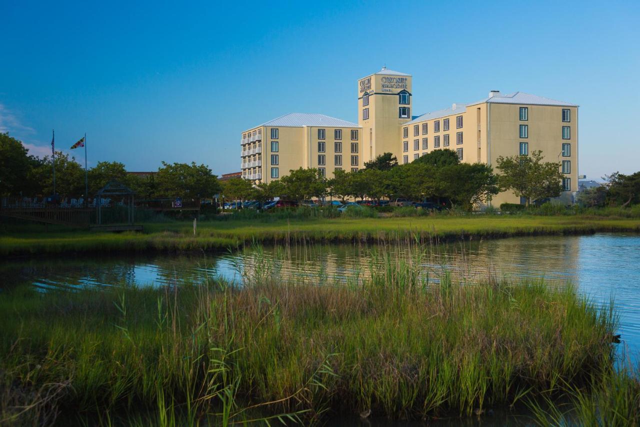Coconut Malorie Resort Hotel, Ascend Hotel Collection Ocean City Exteriör bild